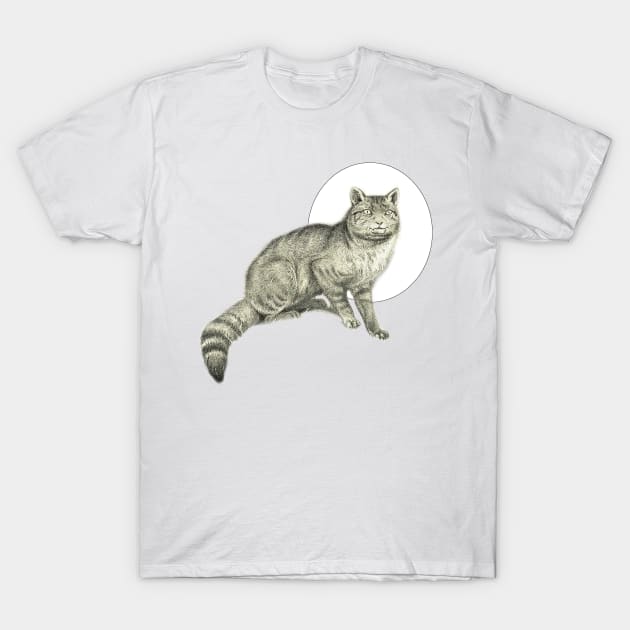 Brindle gray cat outlet
